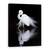 Tablou Canvas - Privind, Marime: 75 x 100 cm - - Roveli