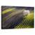 Tablou Canvas - Corzi De Primavara, Marime: 50 x 80 cm - - Roveli