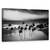 Tablou Canvas - Furtuna Tropicala, Marime: 50 x 80 cm - - Roveli