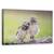 Tablou Canvas - Prieteni, Marime: 50 x 80 cm - - Roveli
