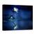 Tablou Canvas - Reflectie, Marime: 75 x 100 cm - - Roveli