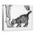 Tablou Canvas - Miroase-Ma, Marime: 75 x 100 cm - - Roveli