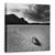 Tablou Canvas - Pista De Curse, Marime: 90 x 90 cm - - Roveli