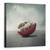 Tablou Canvas - Viata Presupune Echilibru, Marime: 90 x 90 cm - - Roveli