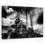 Tablou Canvas - II, Marime: 60 x 90 cm - - Roveli