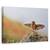 Tablou Canvas - Pot Sa Zbor, Marime: 60 x 90 cm - - Roveli