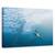 Tablou Canvas - Vanator Si Vanat, Marime: 60 x 90 cm - - Roveli