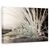 Tablou Canvas - Perle, Marime: 60 x 90 cm - - Roveli