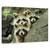 Tablou Canvas - Tres Banditos, Marime: 60 x 90 cm - - Roveli