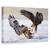 Tablou Canvas - Duel, Marime: 60 x 90 cm - - Roveli