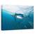 Tablou Canvas - Comuniune, Marime: 60 x 90 cm - - Roveli