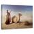 Tablou Canvas - Viata Desertului, Marime: 60 x 90 cm - - Roveli