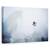 Tablou Canvas - Stralucirea Eterna A Mintii, Marime: 60 x 90 cm - - Roveli