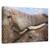 Tablou Canvas - Addo Dragoste, Marime: 60 x 90 cm - - Roveli