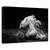 Tablou Canvas - In Miscare, Marime: 60 x 90 cm - - Roveli
