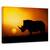 Tablou Canvas - Rasarit In Rhino, Marime: 60 x 90 cm - - Roveli