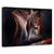 Tablou Canvas - Somn Ghemuit, Marime: 60 x 90 cm - - Roveli