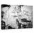 Tablou Canvas - Haos, Marime: 60 x 90 cm - - Roveli