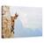 Tablou Canvas - Suspans, Marime: 60 x 90 cm - - Roveli