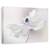 Tablou Canvas - Briza Anemonei, Marime: 60 x 90 cm - - Roveli