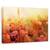 Tablou Canvas - Lathmar Holi, Marime: 60 x 90 cm - - Roveli
