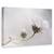 Tablou Canvas - Pur Si Simplu Cosmos, Marime: 60 x 90 cm - - Roveli