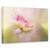 Tablou Canvas - Vis De Vara, Marime: 60 x 90 cm - - Roveli