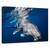 Tablou Canvas - Balena Cu Cocoasa, Marime: 60 x 90 cm - - Roveli