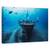Tablou Canvas - Epave Hai Siang, Marime: 60 x 90 cm - - Roveli