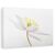 Tablou Canvas - Nemorosa, Marime: 60 x 90 cm - - Roveli