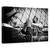 Tablou Canvas - Trompeta A-Go-Go, Marime: 60 x 90 cm - - Roveli