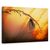 Tablou Canvas - Noapte Buna, Marime: 60 x 90 cm - - Roveli