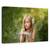 Tablou Canvas - Crede, Marime: 60 x 90 cm - - Roveli