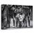 Tablou Canvas - Cainele, Marime: 60 x 90 cm - - Roveli