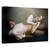 Tablou Canvas - Vise Interzise, Marime: 60 x 90 cm - - Roveli