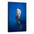 Tablou Canvas - Balena In Lumina, Marime: 60 x 90 cm - - Roveli