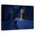 Tablou Canvas - Le Chat Noir, Marime: 60 x 90 cm - - Roveli