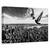 Tablou Canvas - Porumbeii Pe Empire State Building, Marime: 60 x 90 cm - - Roveli