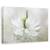 Tablou Canvas - Nigella, Marime: 60 x 90 cm - - Roveli
