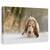 Tablou Canvas - Pas Cu Pas, Marime: 60 x 90 cm - - Roveli