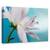 Tablou Canvas - In Compania Turcoaz, Marime: 60 x 90 cm - - Roveli