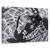 Tablou Canvas - Copac Frangipani, Marime: 60 x 90 cm - - Roveli