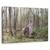 Tablou Canvas - Vis, Marime: 60 x 90 cm - - Roveli
