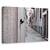 Tablou Canvas - Pisica Din Strada, Marime: 60 x 90 cm - - Roveli