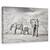 Tablou Canvas - Sezon Uscat, Marime: 60 x 90 cm - - Roveli