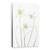 Tablou Canvas - Galanthus Flore Pleno, Marime: 60 x 90 cm - - Roveli