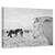 Tablou Canvas - Tipi Duri, Marime: 60 x 90 cm - - Roveli