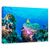 Tablou Canvas - Viata Maritima, Marime: 60 x 90 cm - - Roveli