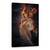 Tablou Canvas - Printesa Focului, Marime: 60 x 90 cm - - Roveli