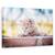 Tablou Canvas - Pisica, Marime: 60 x 90 cm - - Roveli